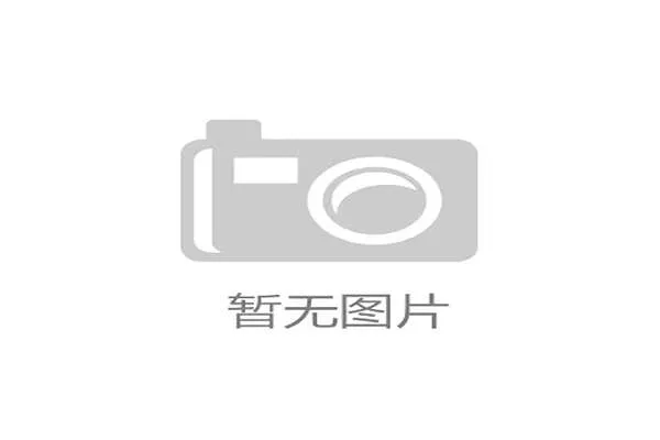 国际汽联主席竞选辩论聚焦赛道安全改革与未来发展方向 国际汽联主席竞选辩论聚焦赛道安全改革与未来发展方向